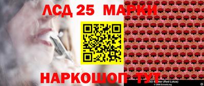 крисы Донской