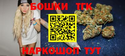 индика Дубна