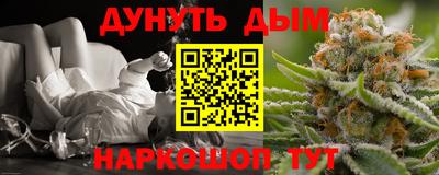индика Дубна