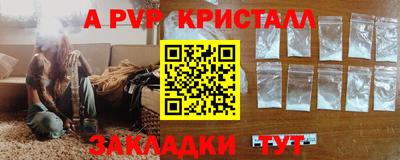 крисы Донской
